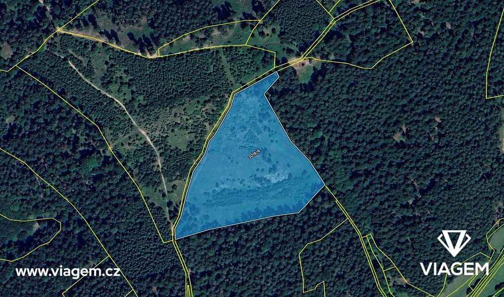 Prodej lesa 21 200 m², Všemina – náhled fotky 4