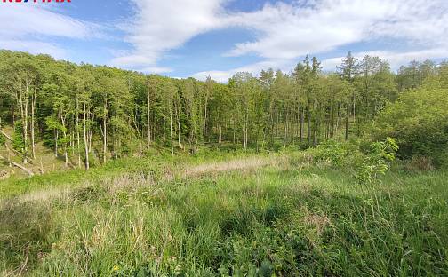 Prodej lesa 17 681 m², Vladislav, okres Třebíč