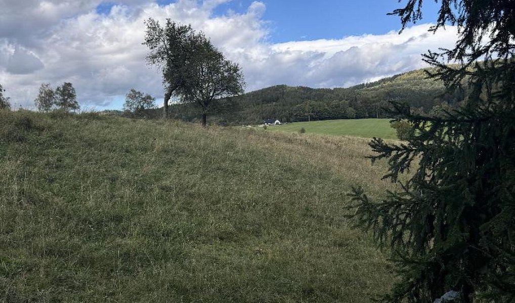 Prodej pozemku 10 821 m², Velké Svatoňovice – náhled fotky 6