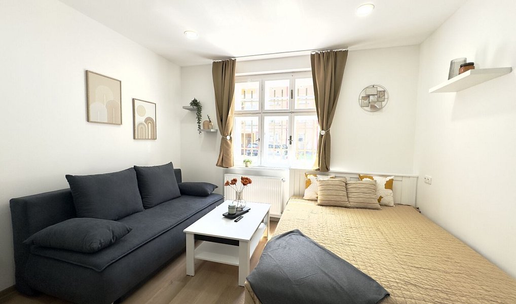 Pronájem bytu 1+kk 28 m², Liberec – náhled fotky 6