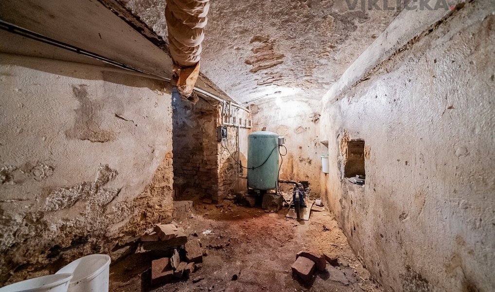 Prodej chaty/chalupy 700 m² s pozemkem 4 770 m², Hostouň – náhled fotky 24