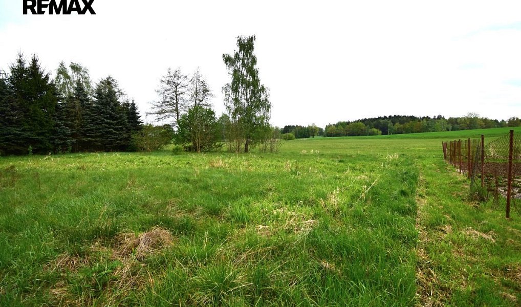 Prodej stavebního pozemku 993 m², Kostelní Radouň – náhled fotky 3