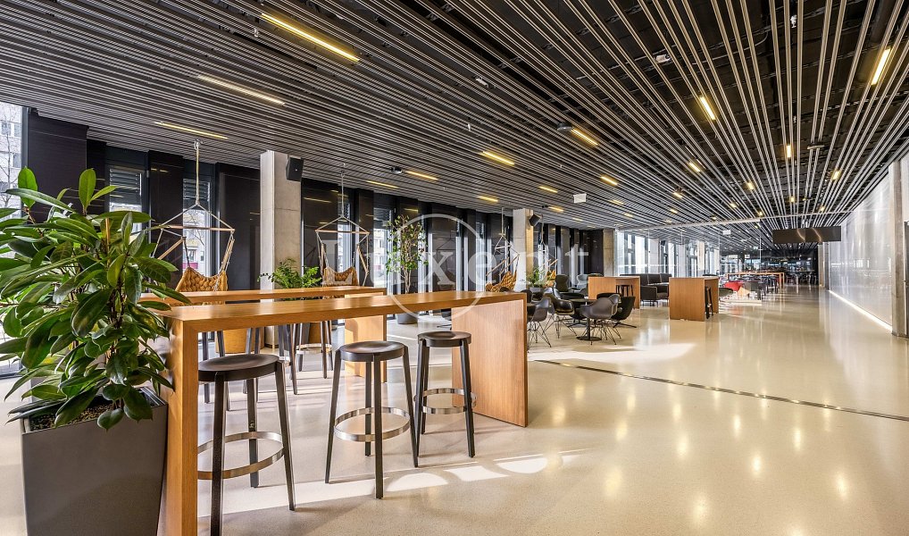 Pronájem kanceláře 520 m², Praha – náhled fotky 5
