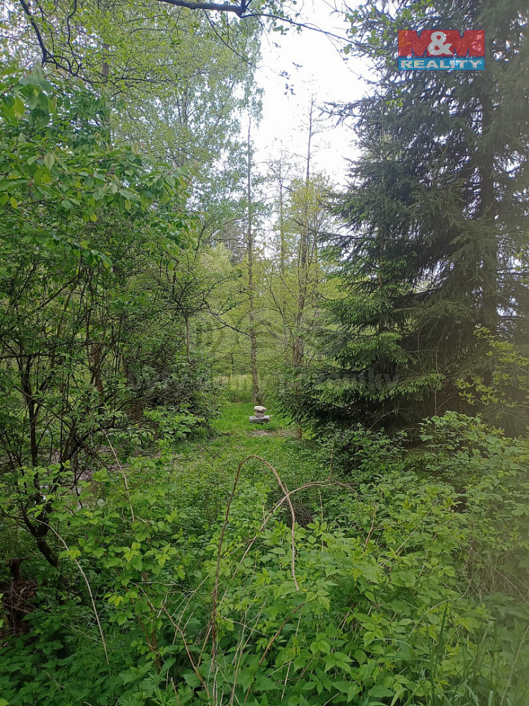 Prodej lesa 4 526 m² — photo 2