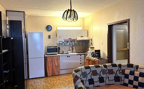 Prodej bytu 1+1 46 m², Krčínova, České Budějovice - České Budějovice 2