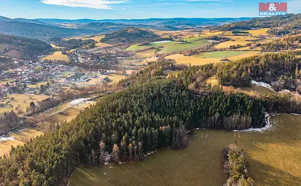 Prodej lesa 51 224 m², Malenice, okres Strakonice