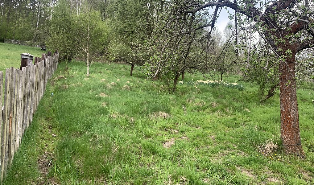 Prodej stavebního pozemku 2 637 m², Děčín – náhled fotky 18