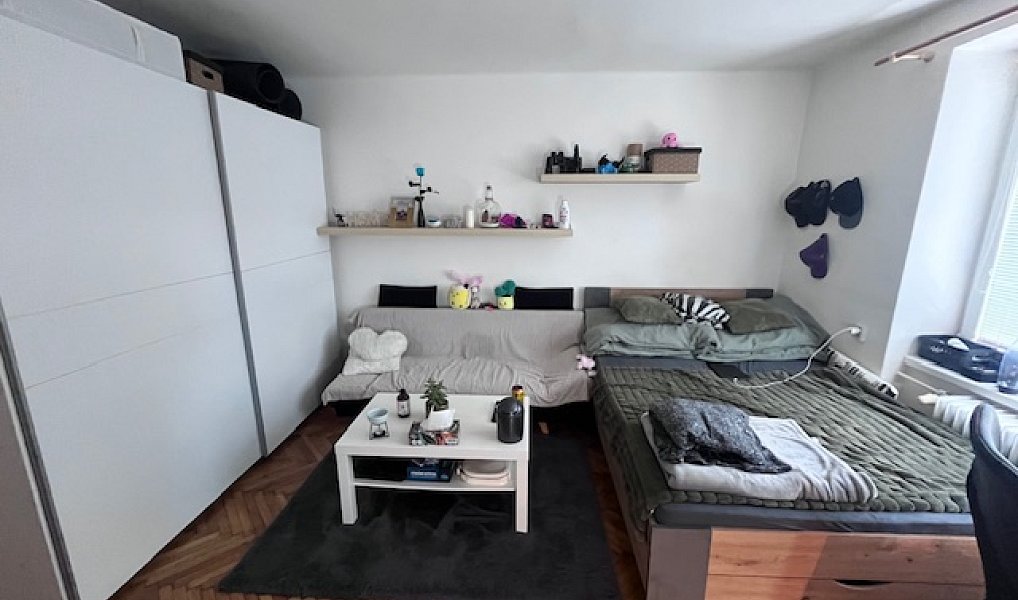 Pronájem bytu 1+1 40 m², Olomouc – náhled fotky 3