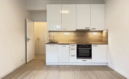 Pronájem bytu 1+kk 23 m², Pivovarnická, Praha 8 - Libeň