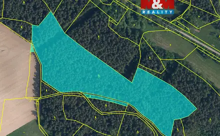 Prodej lesa 35 696 m², Bílá - Chvalčovice, okres Liberec