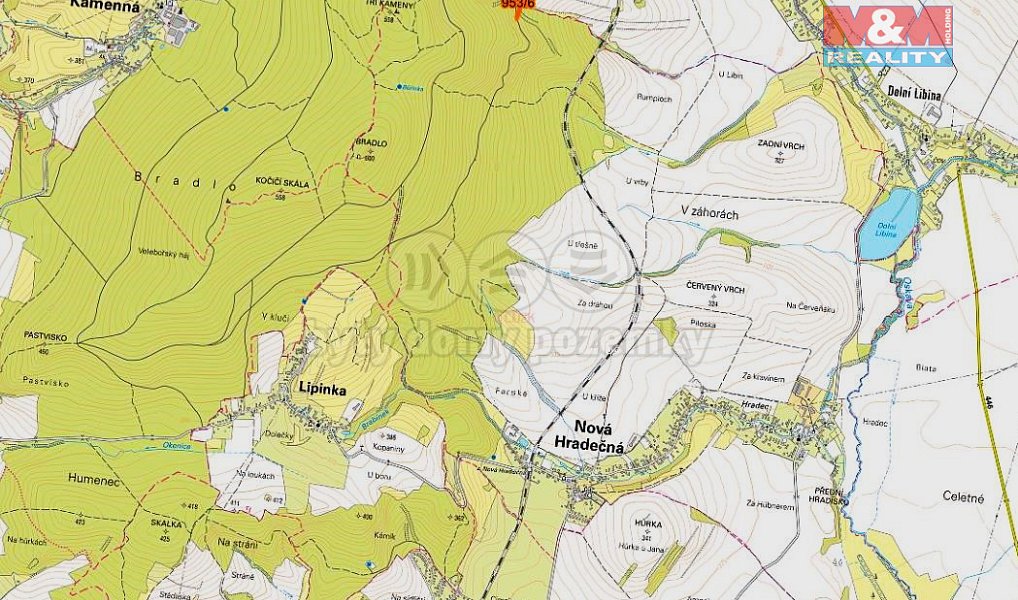 Prodej lesa 6 647 m², Nová Hradečná – náhled fotky 2