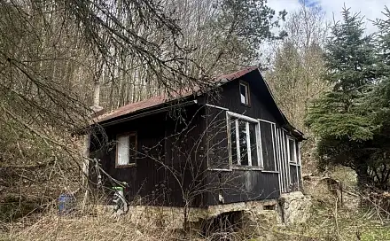 Prodej chaty/chalupy 16 m² s pozemkem 1 321 m², Vítova, Děčín - Děčín IX-Bynov