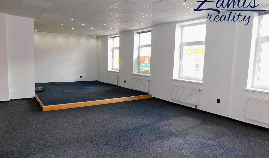 Prodej domu 400 m² s pozemkem 201 m², Kladno – náhled fotky 17