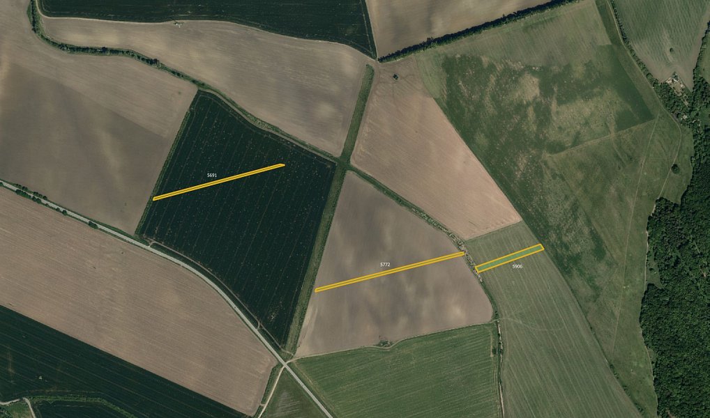 Prodej pole 22 664 m², Horní Němčí – náhled fotky 4