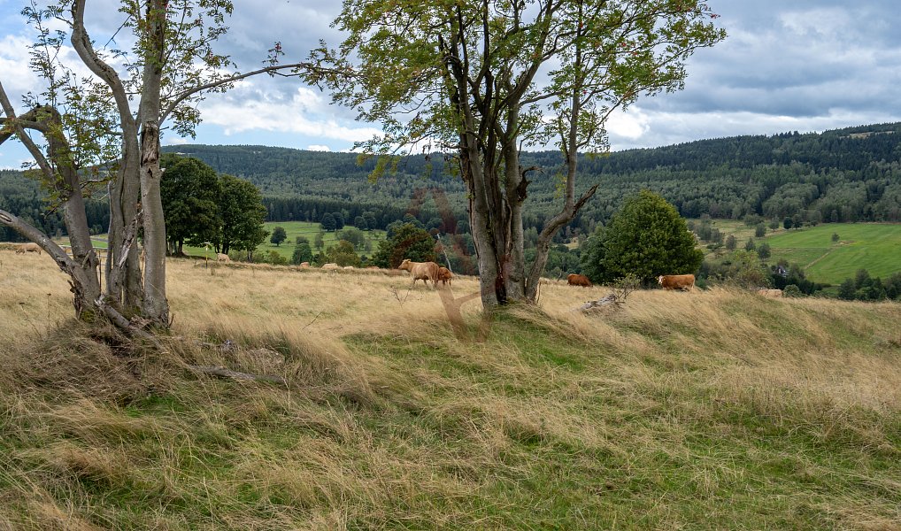 Prodej chalupy 145 m², Hora Svaté Kateřiny – náhled fotky 25