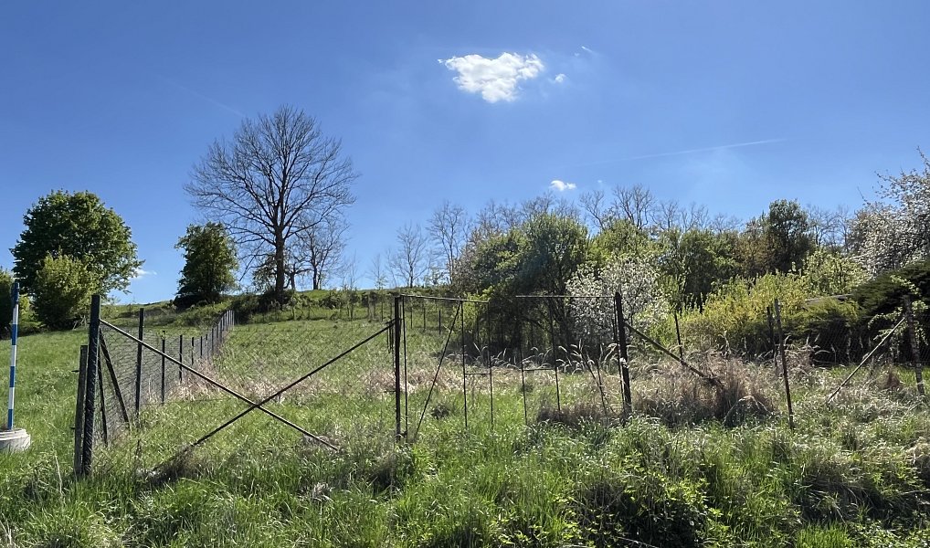 Prodej zahrady 860 m², Plumlov – náhled fotky 7