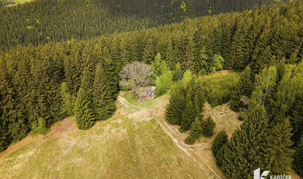 Prodej chaty/chalupy 94 m² s pozemkem 934 m², Velké Karlovice – náhled fotky 2