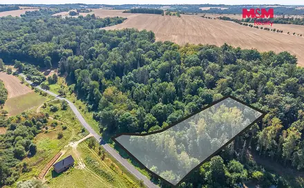 Prodej lesa 5 004 m², Tupadly, okres Mělník