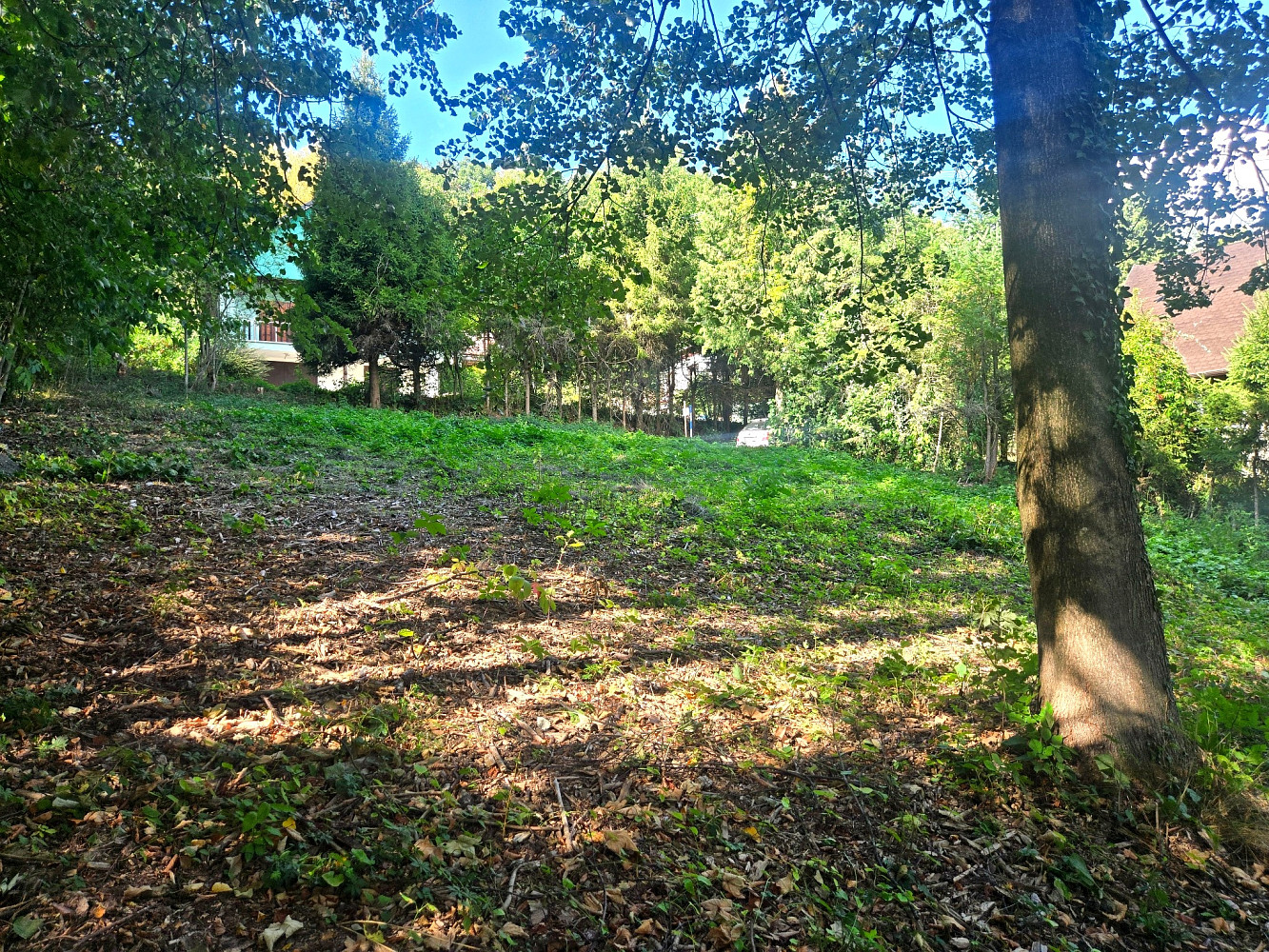 Prodej stavebního pozemku 505 m² – fotografie 5
