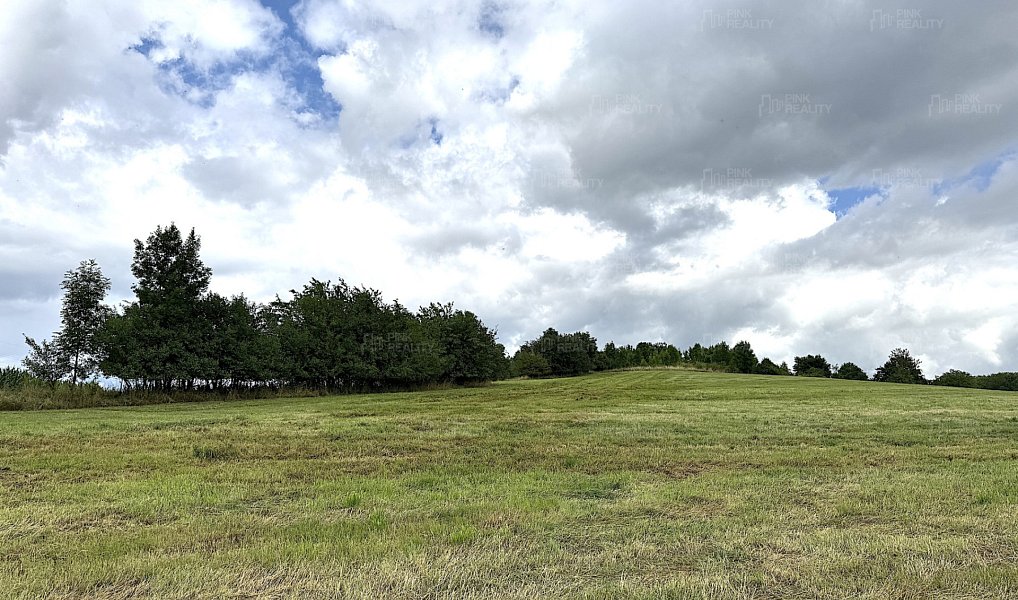 Prodej louky 16 663 m², Rychnov nad Kněžnou – náhled fotky 6