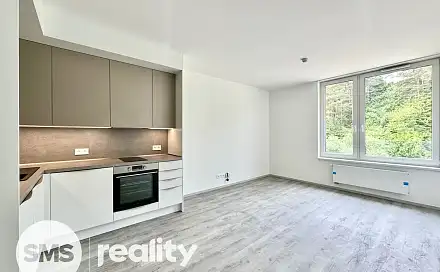Pronájem bytu 1+kk 31 m²