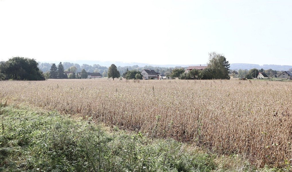 Prodej pole 27 614 m², Dvůr Králové nad Labem – náhled fotky 3