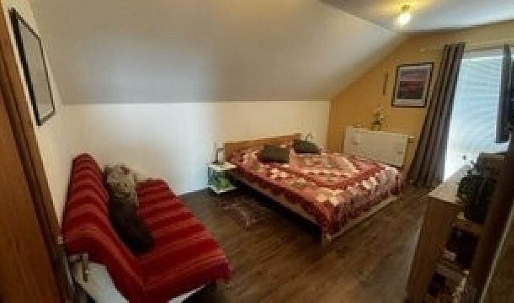 Prodej domu 172 m² s pozemkem 1 488 m², Jevišovka – náhled fotky 7