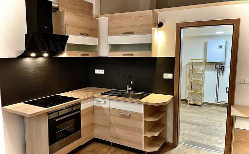 Pronájem bytu 1+1 57 m², Karlovo nám., Třebíč - Vnitřní Město