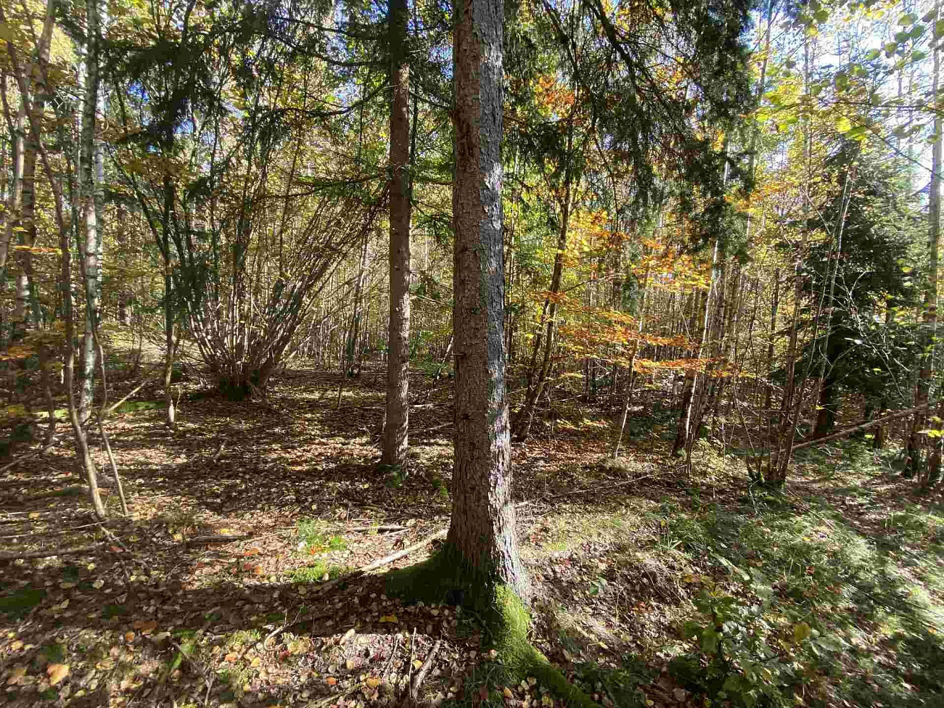 Prodej pole 9 794 m²