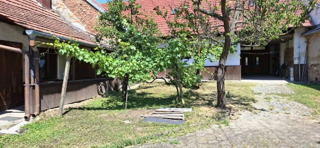 Prodej domu 350 m² s pozemkem 1 963 m² – fotografie 3
