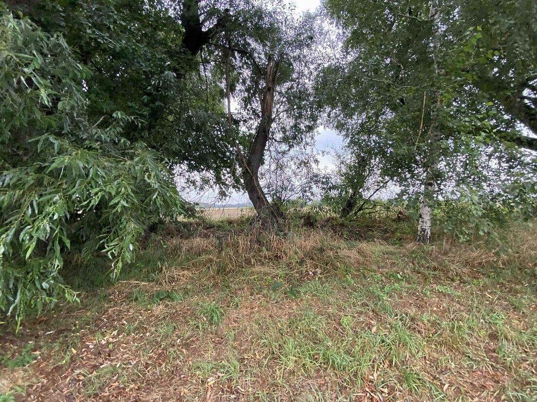 Prodej pozemku 173 m² – fotografie 3