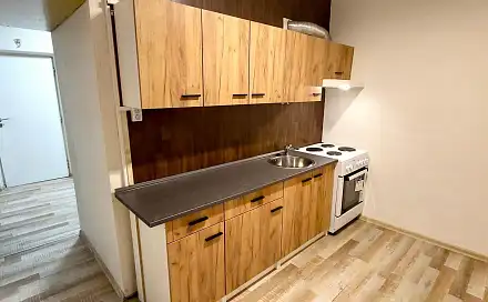 Pronájem bytu 2+1 53 m², Antonína Sovy, Bílina - Teplické Předměstí, okres Teplice