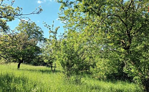 Prodej pole 912 m², Třebenice, okres Litoměřice