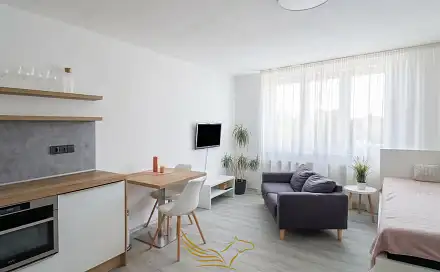 Pronájem bytu 1+kk 26 m², Boženy Němcové, Brno - Královo Pole