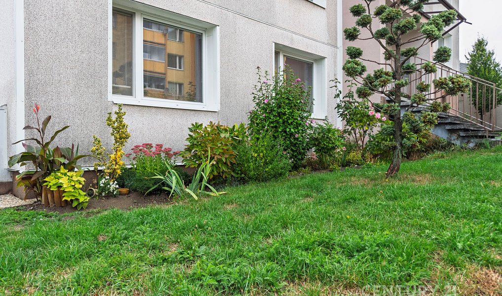 Pronájem bytu 2+1 55 m², Teplice nad Bečvou – náhled fotky 21