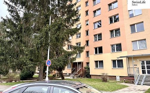 Pronájem bytu 3+1 84 m², Puškinova, Vyškov - Dědice