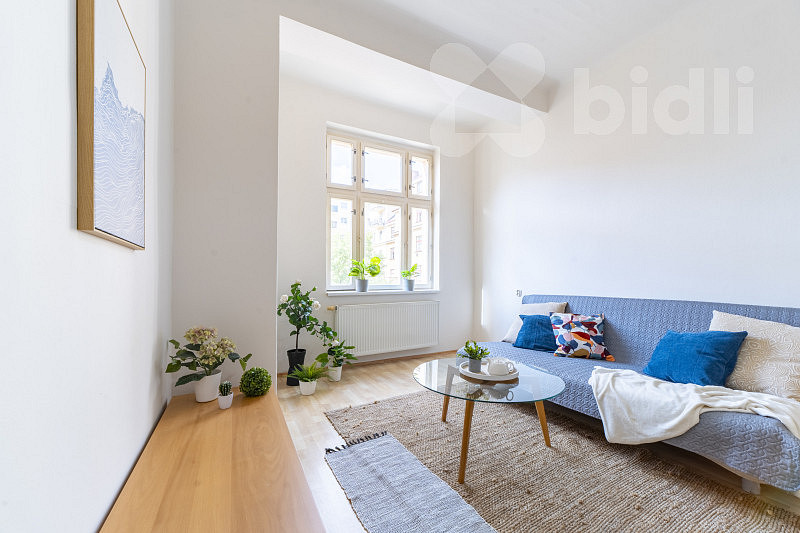 Prodej bytu 1+1 45 m² — photo 4