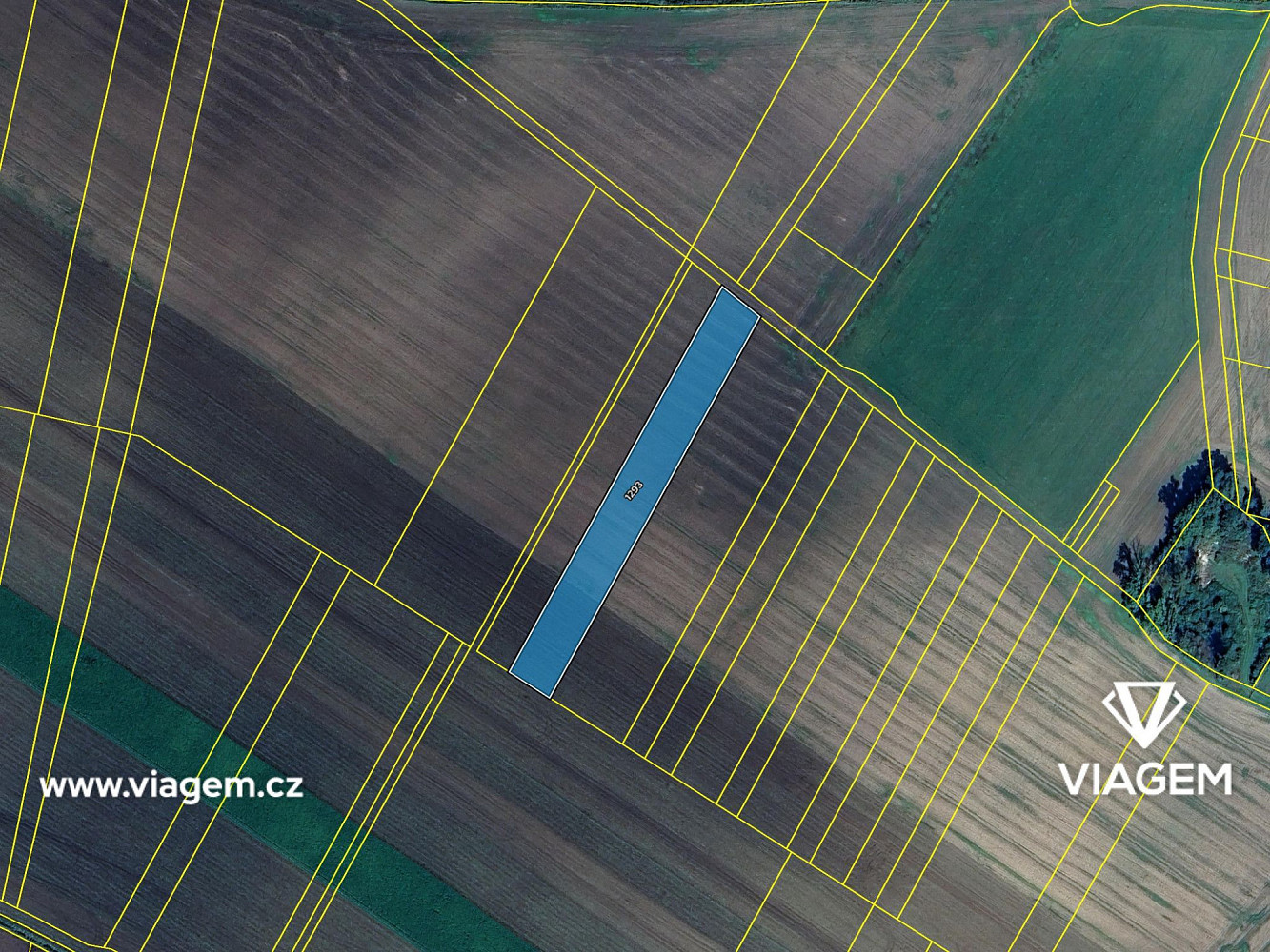 Prodej pole 459 m² – fotografie 4