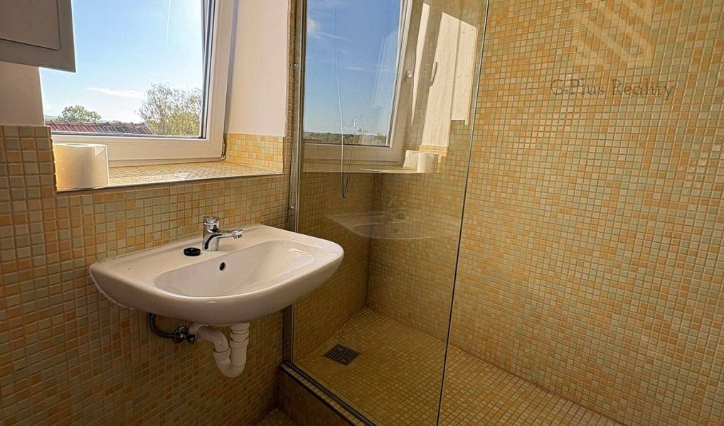 Pronájem bytu 1+kk 48 m², Černiv – náhled fotky 8
