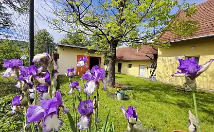 Prodej chaty/chalupy 700 m² s pozemkem 1 816 m², Svárov, Brumov-Bylnice - Bylnice, okres Zlín