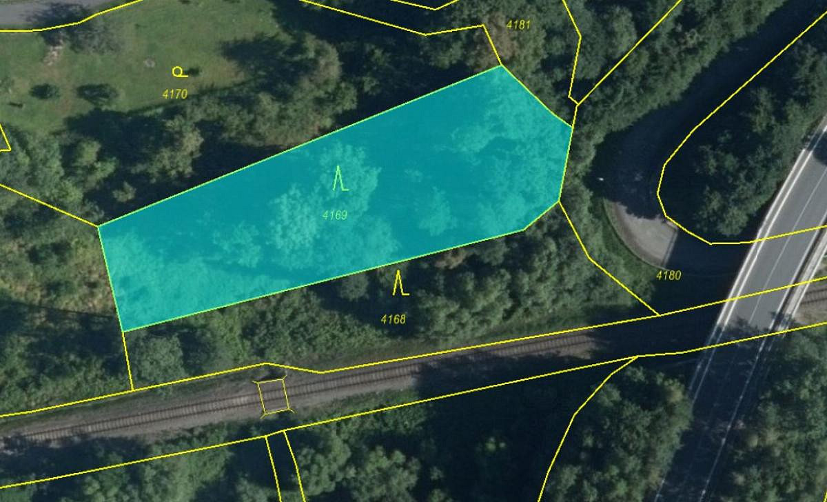 Prodej lesa 1 838 m²