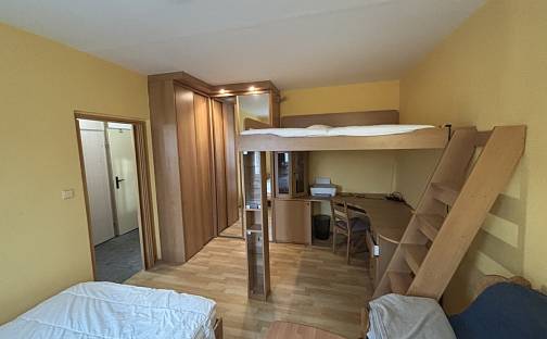 Pronájem bytu 1+1 34 m², Suchého, Hradec Králové - Moravské Předměstí