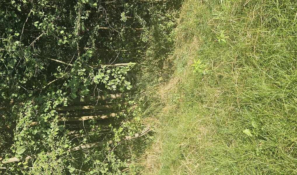 Prodej pole 846 m², Bystřice – náhled fotky 5