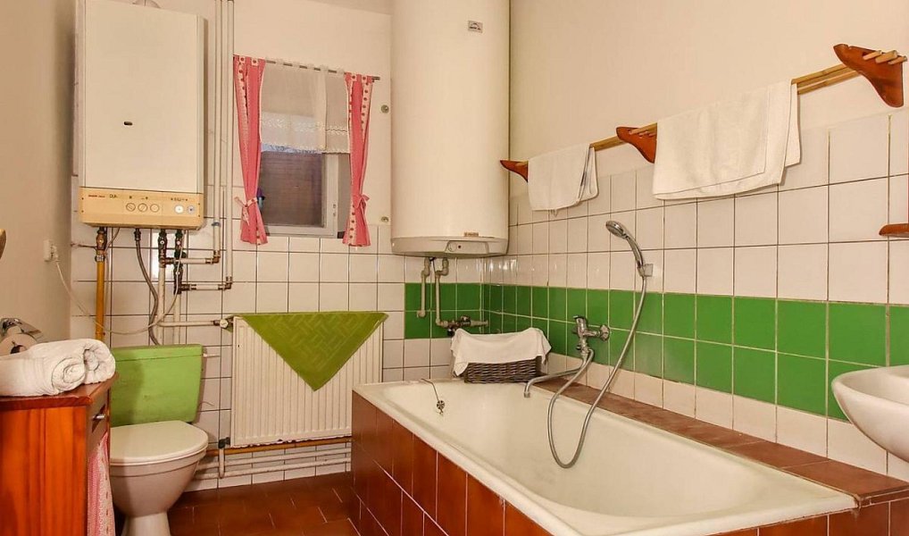 Prodej domu 180 m² s pozemkem 699 m², Jeníkovice – náhled fotky 8