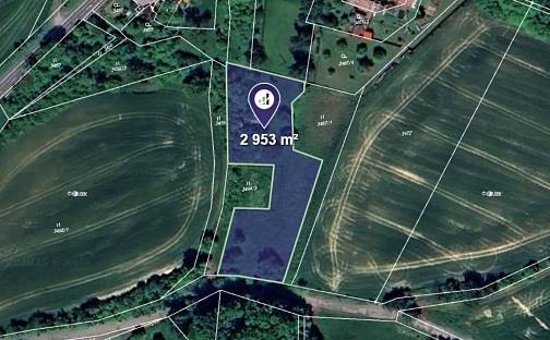 Prodej louky 2 953 m², Dvůr Králové nad Labem, okres Trutnov