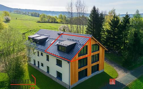Prodej bytu 1+kk 46 m², Dolní Morava - Velká Morava, okres Ústí nad Orlicí