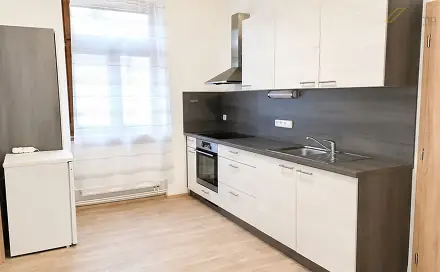 Pronájem bytu 1+1 49 m², Matice školské, České Budějovice - České Budějovice 7