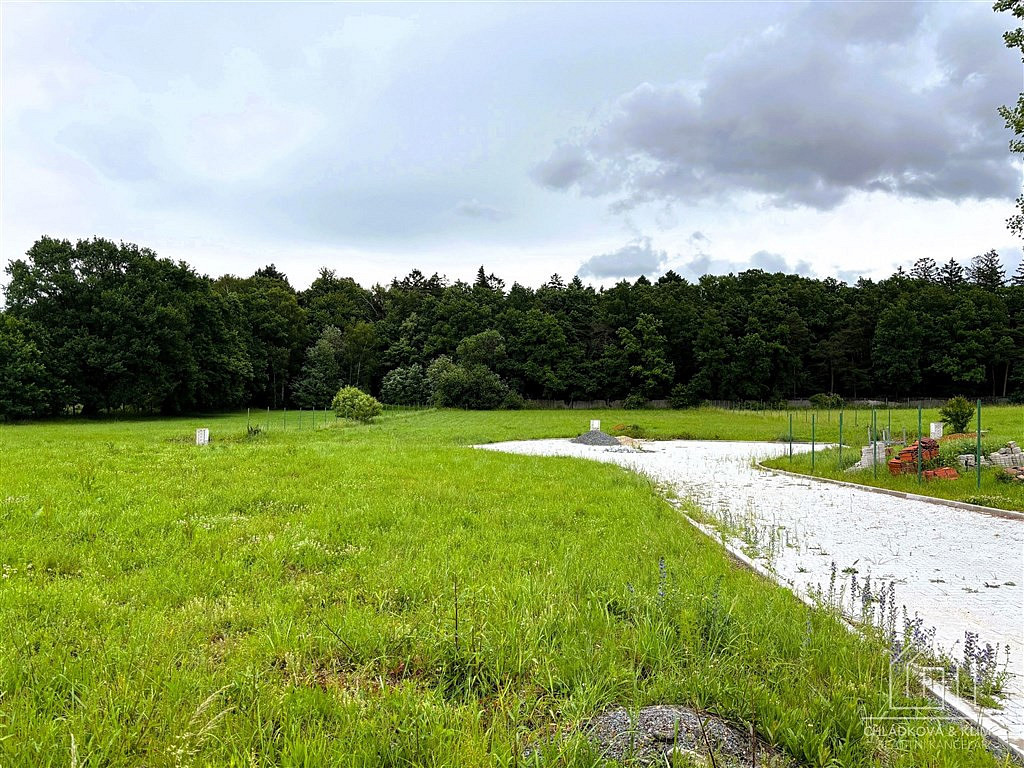 Prodej stavebního pozemku 2 000 m² — photo 3