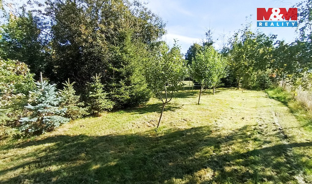 Prodej chaty/chalupy 46 m² s pozemkem 2 487 m², Brandov – náhled fotky 8
