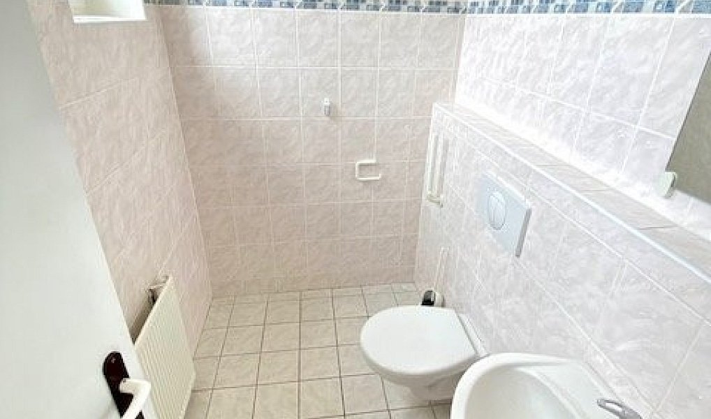 Pronájem skladovacích prostor 710 m², Planá – náhled fotky 20